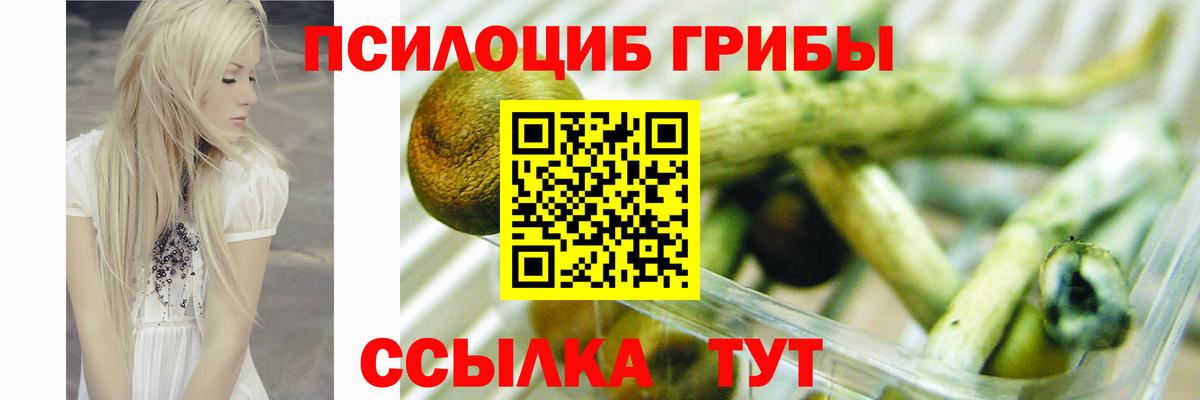 Псилоцибиновые грибы MAGIC MUSHROOMS Бугуруслан